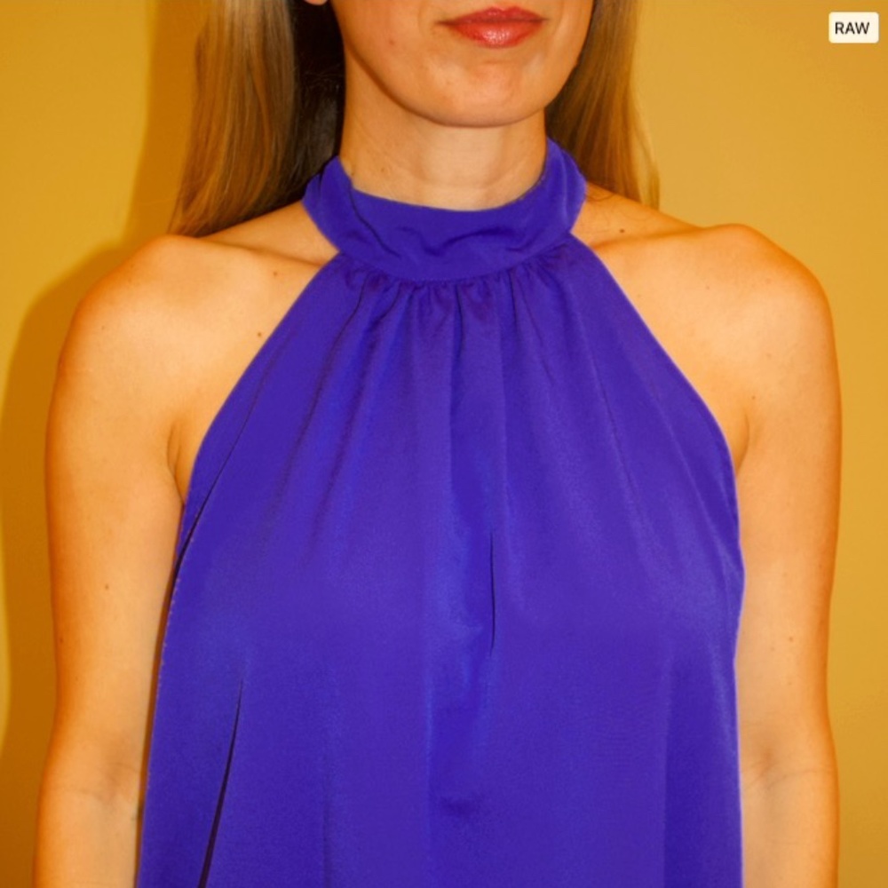 Bisou Bisou Blue Halter Style Top (M)